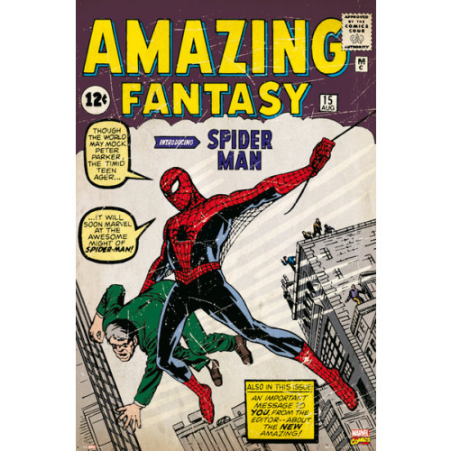 Marvel Spiderman Issue No.1 Framed Wall Art