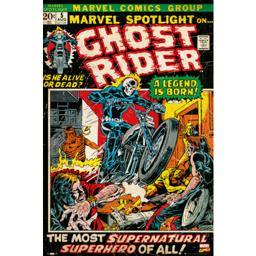 Marvel Ghost Rider Comic Cover Framed Wall Art