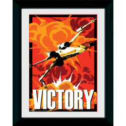 Star Wars Framed Collectible Propaganda Art
