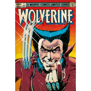 Marvel Wolverine Comic Cover Framed Wall Art